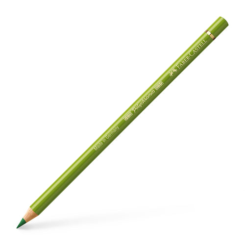 Polychromos® Artists' Colour Pencil - #168 Earth Green Yellowish - #110168 - Faber-Castell Shop Canada